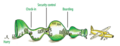 Thumbnail for version as of 15:32, 2 September 2025
